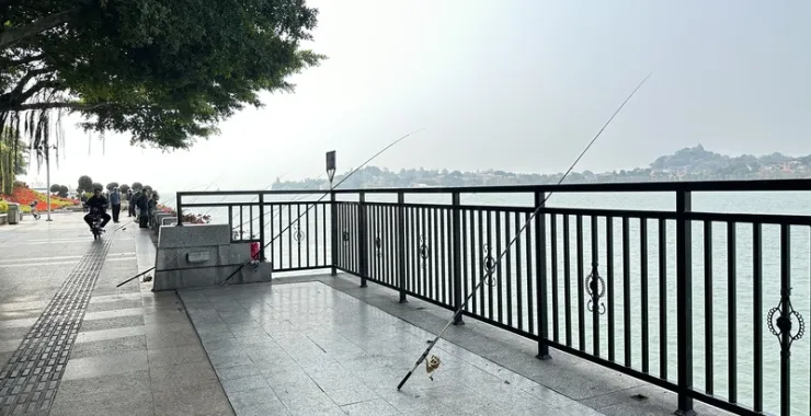 厦门轮渡码头钓鱼海钓