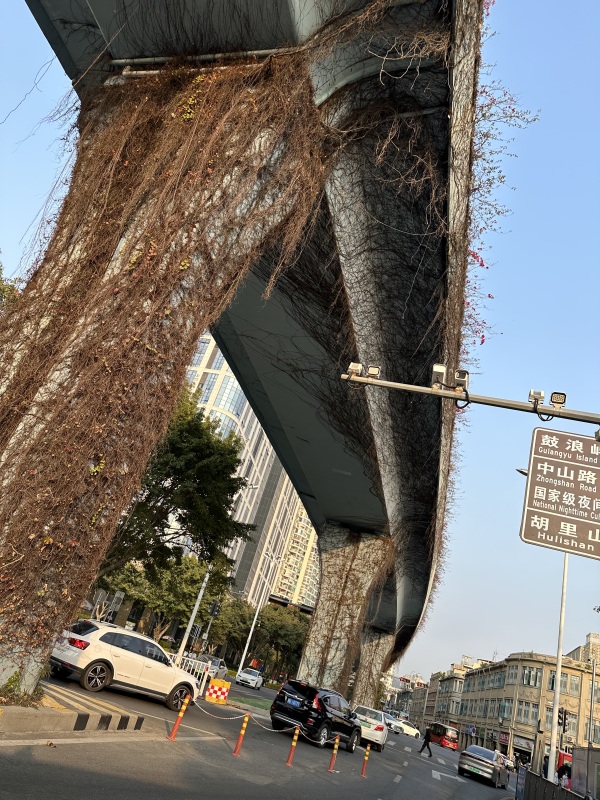 厦门BRT快速公交立交桥专用通道交通汽车马路道路街道