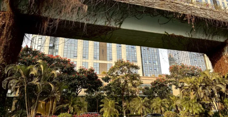 厦门BRT快速公交立交桥专用通道