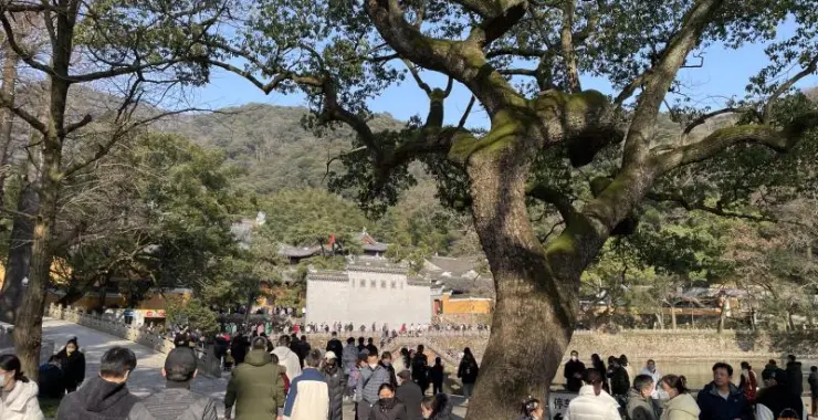 宁波天童寺寺庙人流人群背影旅游郊游