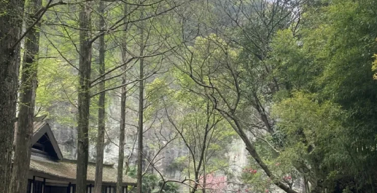 绍兴东湖景区标注景区拍照打卡点旅游郊游亲子游乌篷船凉亭亭子湖边大山绿植树