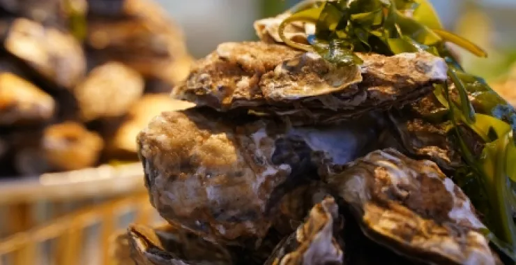 海鲜淡菜鲜美生鲜美食生蚝