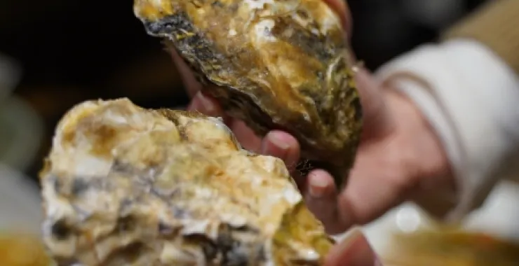 海鲜生蚝生鲜美食