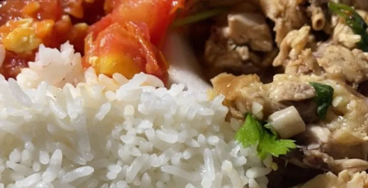 卤鸡肉 番茄炒蛋 食堂 盒饭 中饭快餐