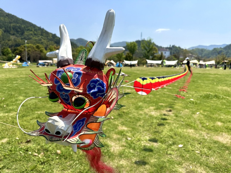 风筝巨型手工风筝龙头飞龙风筝