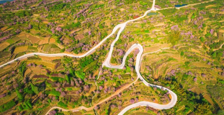 余姚山路蜿蜒村庄大山里山间航拍俯瞰山路群山青山绿树农村村庄上马岗樱花地