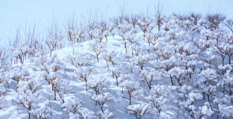 余姚四明山道路雪景山路山间下雪大山里乡村房子