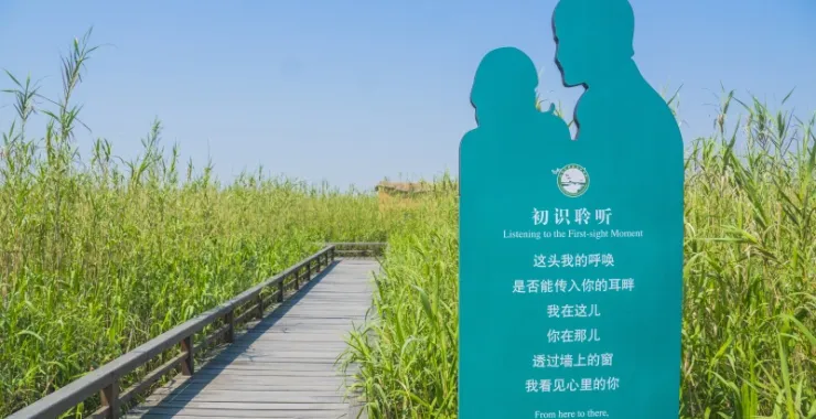 杭州湾湿地公园特色风景景点旅游郊游拍照打卡建筑步道通道芦苇丛