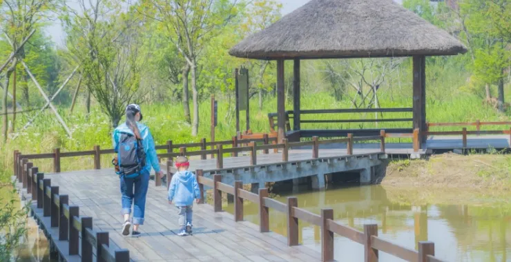 杭州湾湿地公园特色风景景点旅游郊游拍照打卡人物亲子背影