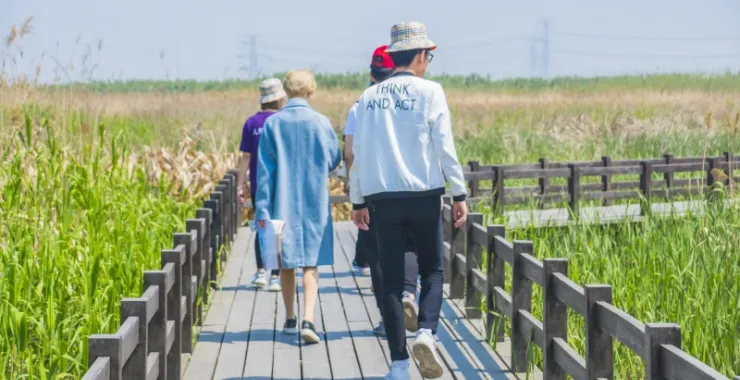 杭州湾湿地公园特色风景景点旅游郊游拍照打卡人物人群背影