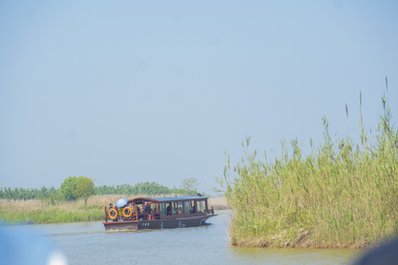 杭州湾湿地公园特色风景景点旅游郊游拍照打卡游船江景人群轮船渡轮