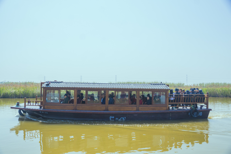 杭州湾湿地公园特色风景景点旅游郊游拍照打卡游船江景人群轮船渡轮