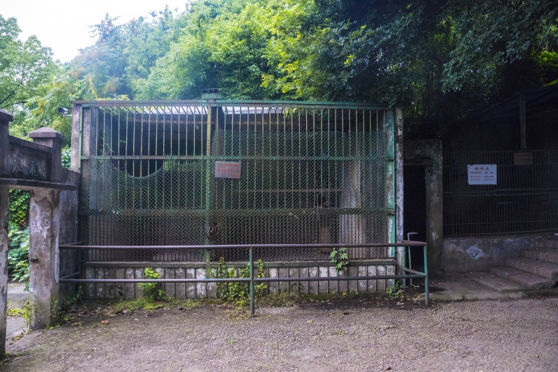 余姚龙泉山动物园空的铁笼栅栏栏杆