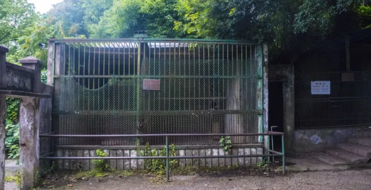 余姚龙泉山动物园空的铁笼栅栏栏杆