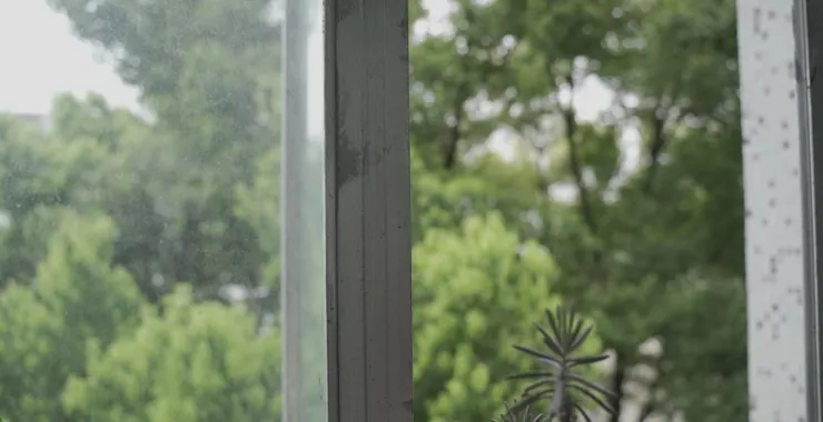 老的余姚图书馆窗户窗外树木绿植阴雨天