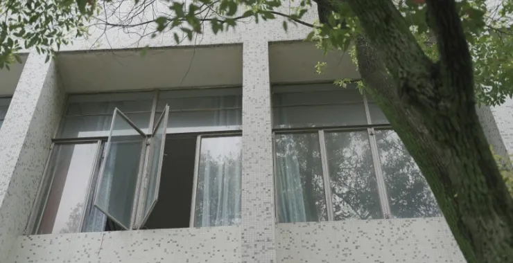 老的余姚图书馆搬迁窗户树木