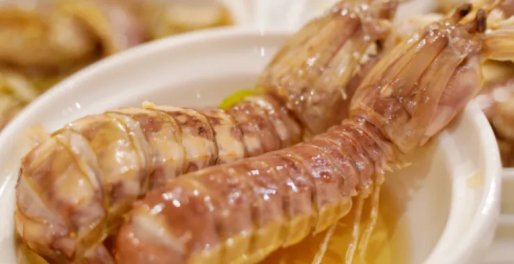 皮皮虾生腌熟醉皮皮虾自助餐美食