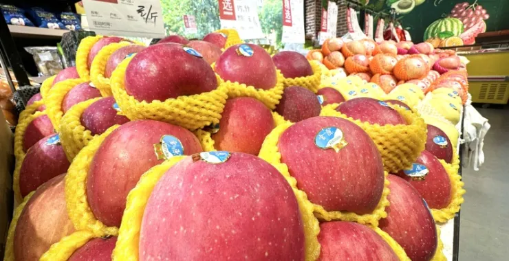 美食水果苹果