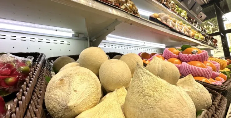 美食水果梨椰子橙子