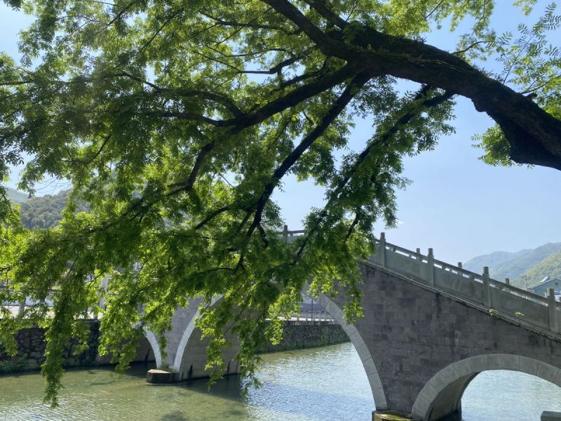 陆埠庄园山村河水桥树