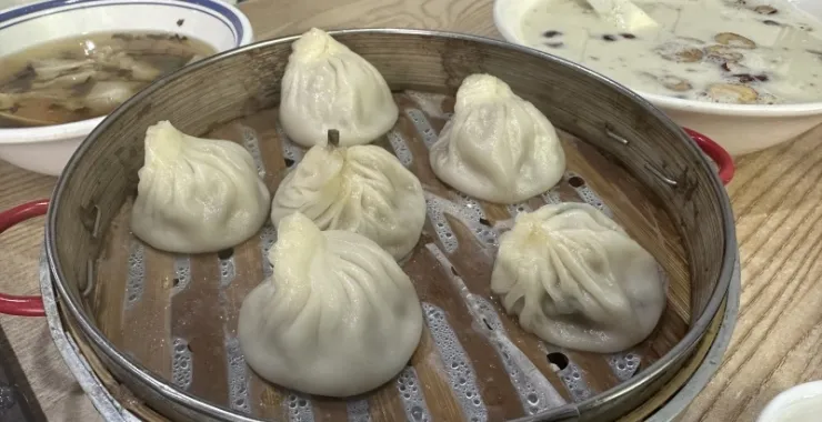 朗霞甘大林豆浆红枣豆浆网红美食早餐汤包点心早饭小笼包