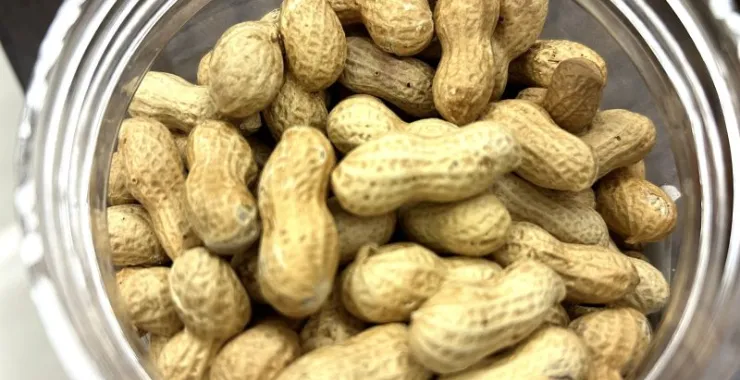 零食炒货干花生