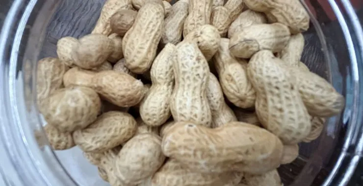 零食炒货干花生