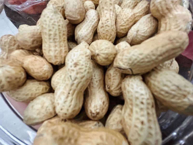 零食炒货干花生