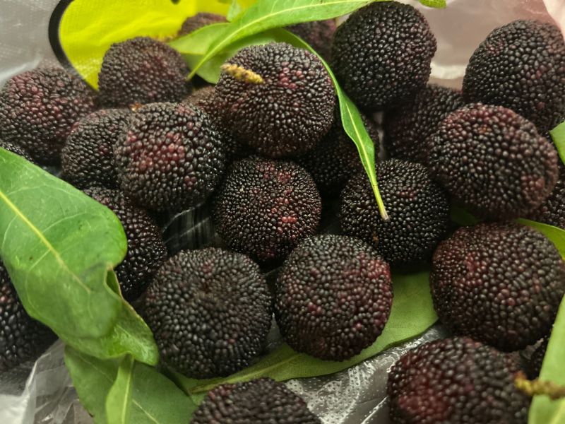 夏季水果杨梅