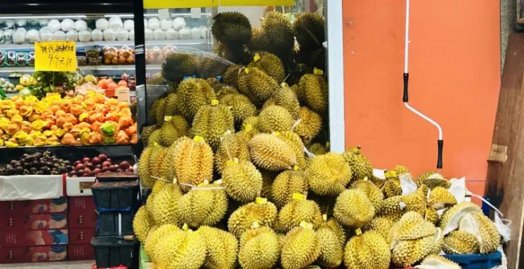 夏季水果榴莲