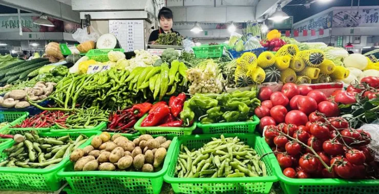 余姚四明菜场蔬菜买菜生活