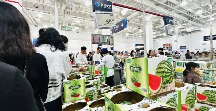山姆超市水果西瓜试吃购物