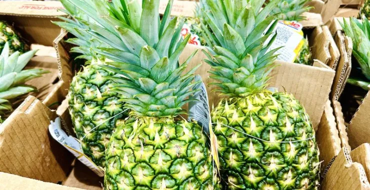 山姆超市进口水果凤梨
