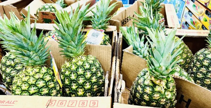 山姆超市进口水果凤梨