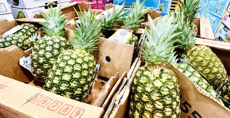 山姆超市进口水果凤梨