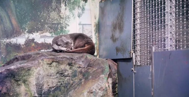 宁波海洋世界动物