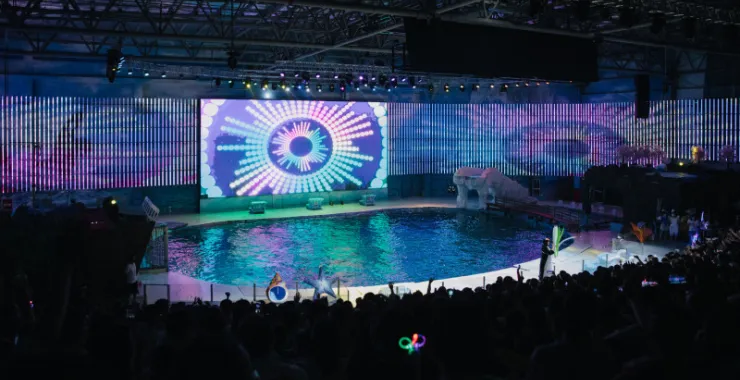 宁波海洋世界海豚表演