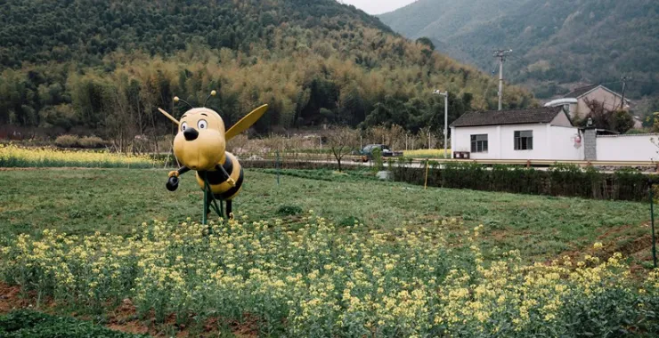 余姚梁弄汪巷村可已花园大蜜蜂