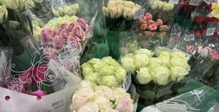 山姆超市购物鲜花花束养花
