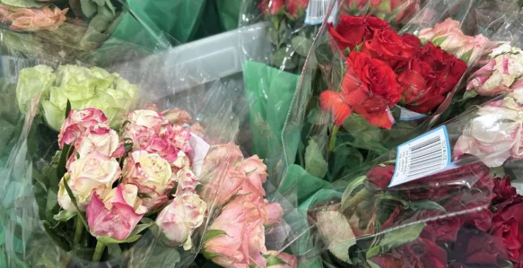 超市购物鲜花花束