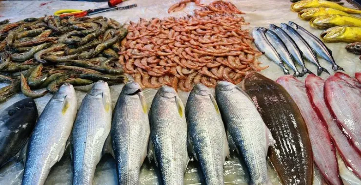 菜场买菜海鲜鱼虾新鲜
