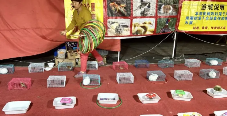 游戏游玩套圈儿童奖品娱乐