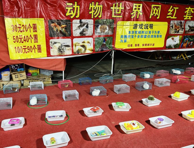 游戏游玩套圈儿童奖品娱乐