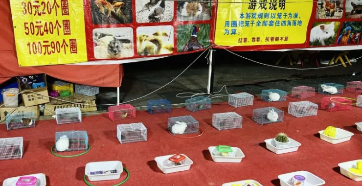 游戏游玩套圈儿童奖品娱乐