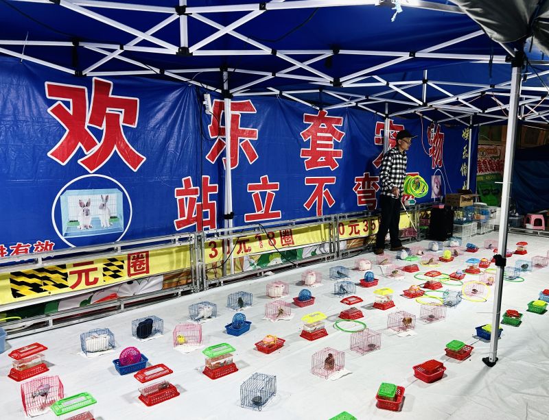 游戏游玩套圈套宠物儿童奖品娱乐