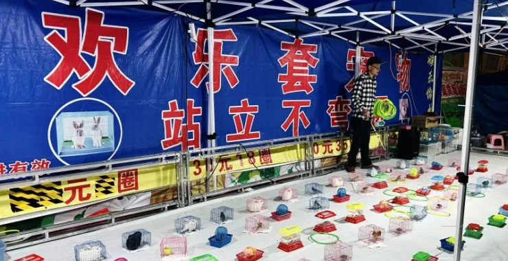 游戏游玩套圈套宠物儿童奖品娱乐