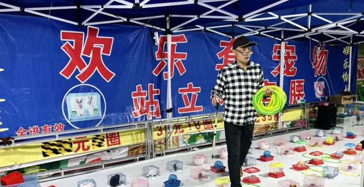 游戏套圈套宠物儿童奖品娱乐