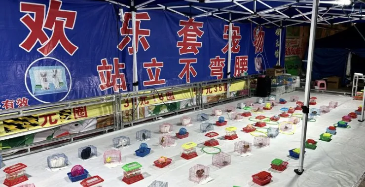 游戏套圈套宠物儿童奖品娱乐