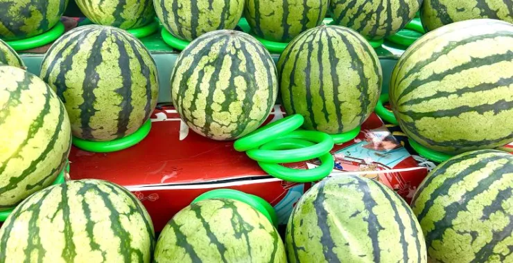 夏天夏季应季水果西瓜