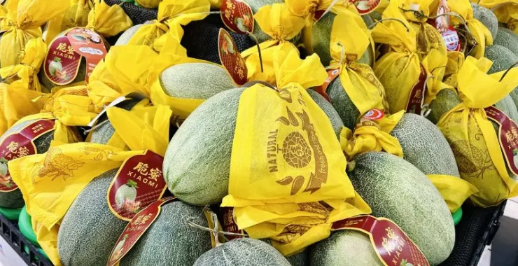 夏天夏季应季水果哈蜜瓜